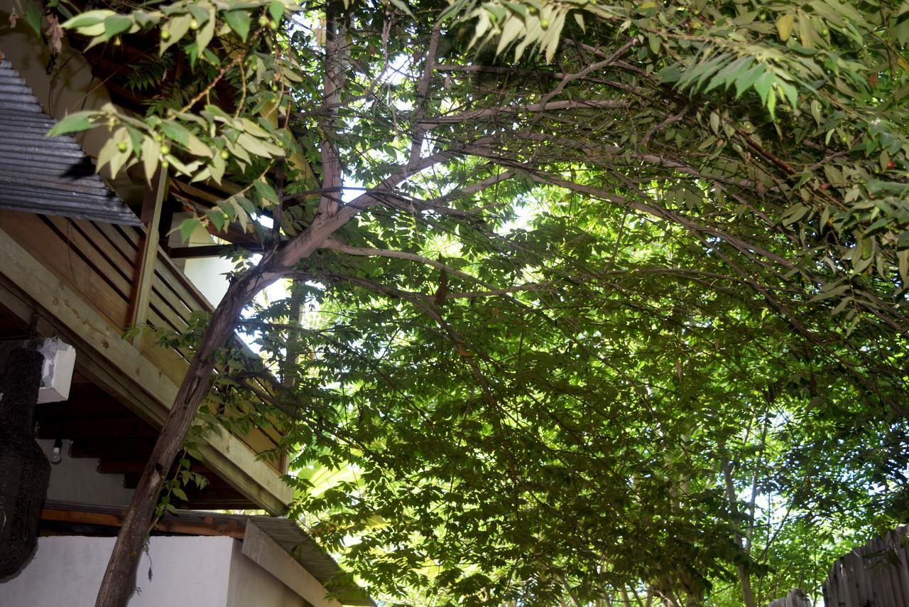 Panda Cottage Τζίλι Τραγουανγκάν Εξωτερικό φωτογραφία